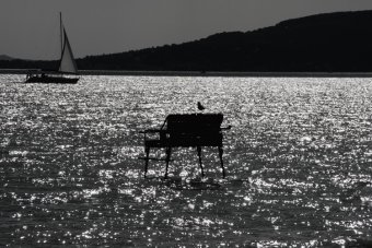 blanco y negro.jpg